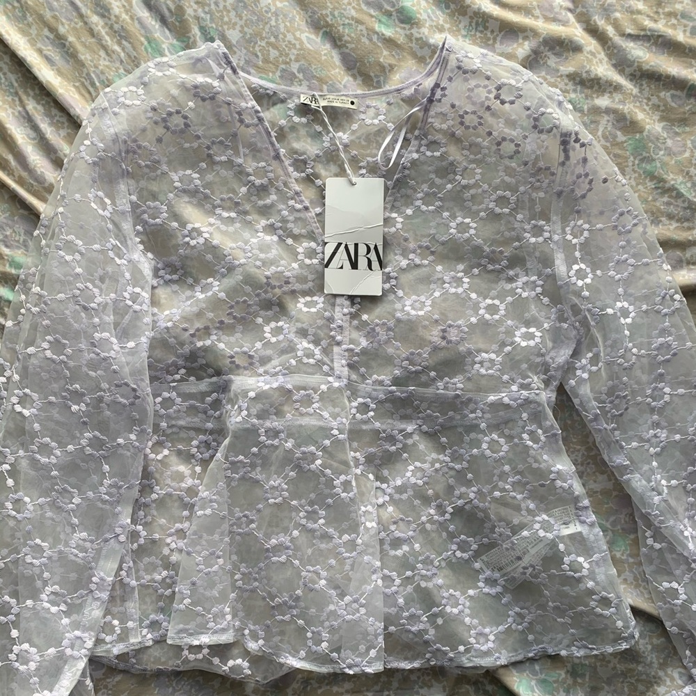 Zara See through long sleeve top